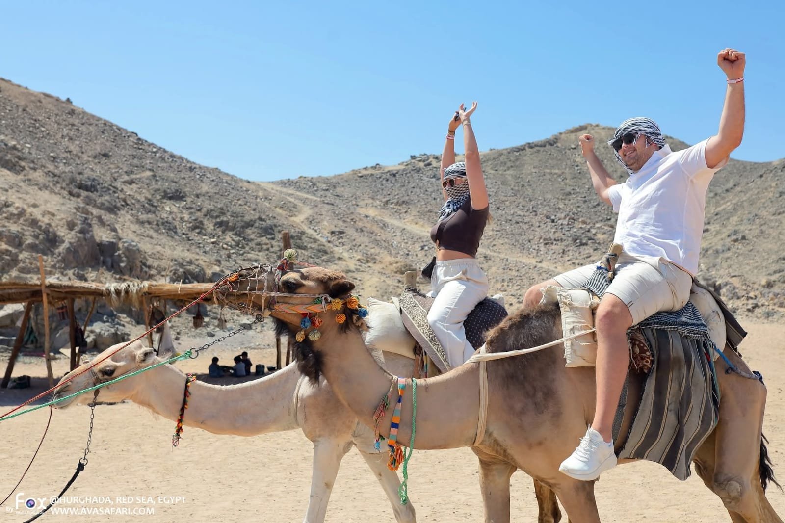 Camel experience