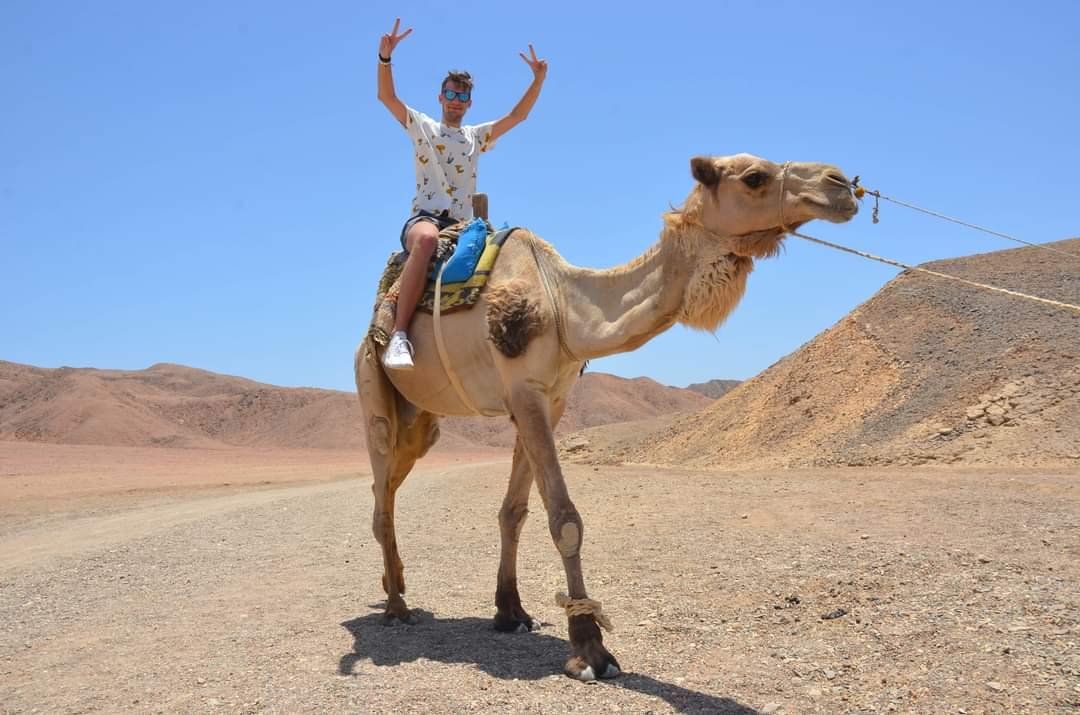 Camel riding hurghada