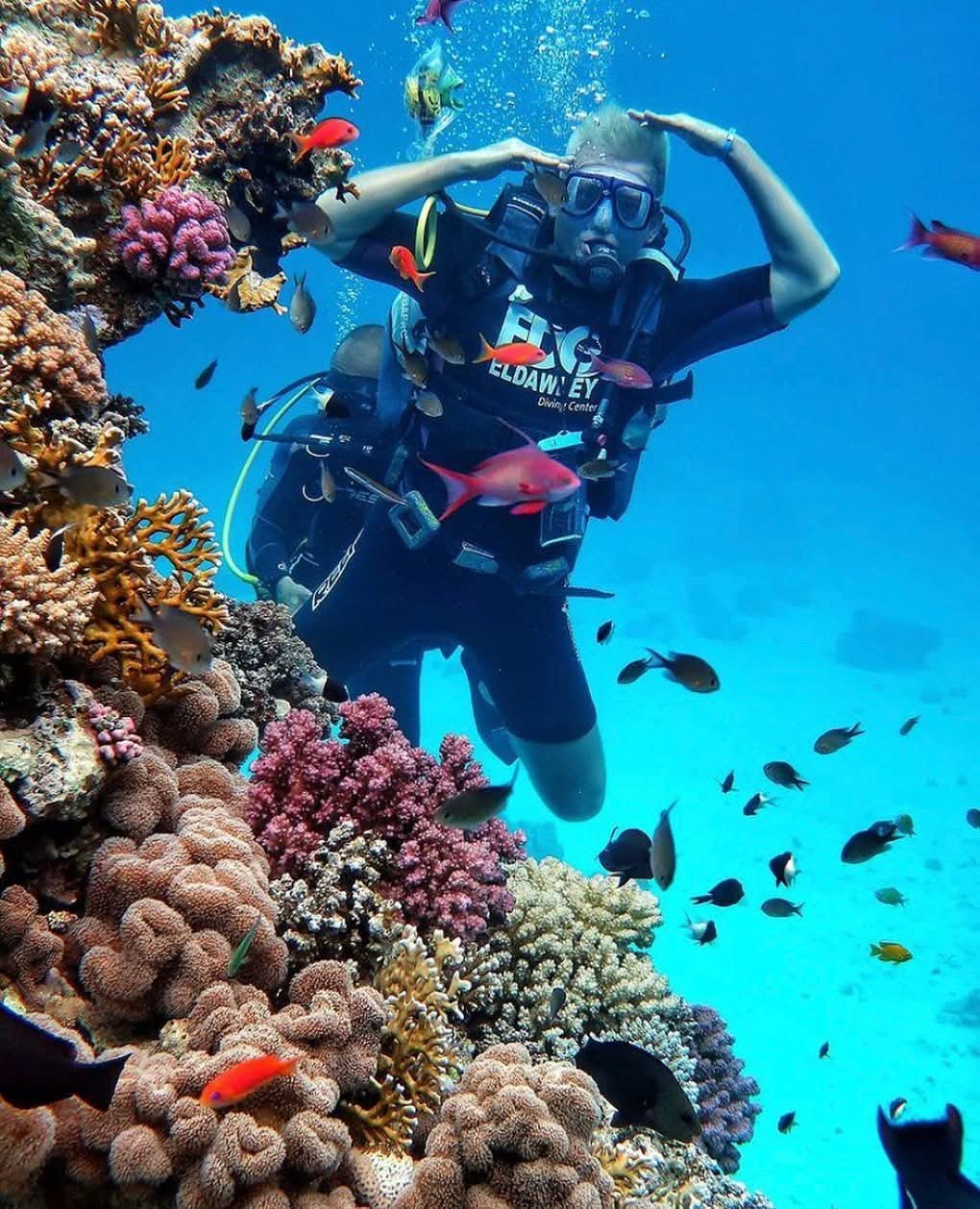 Diving Hrghada