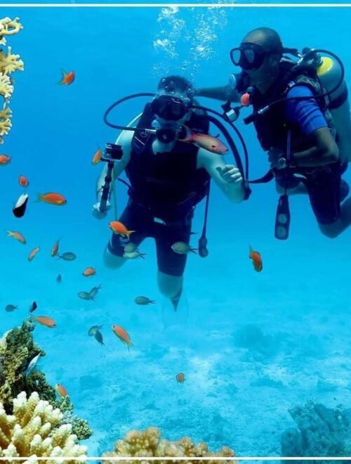 Diving