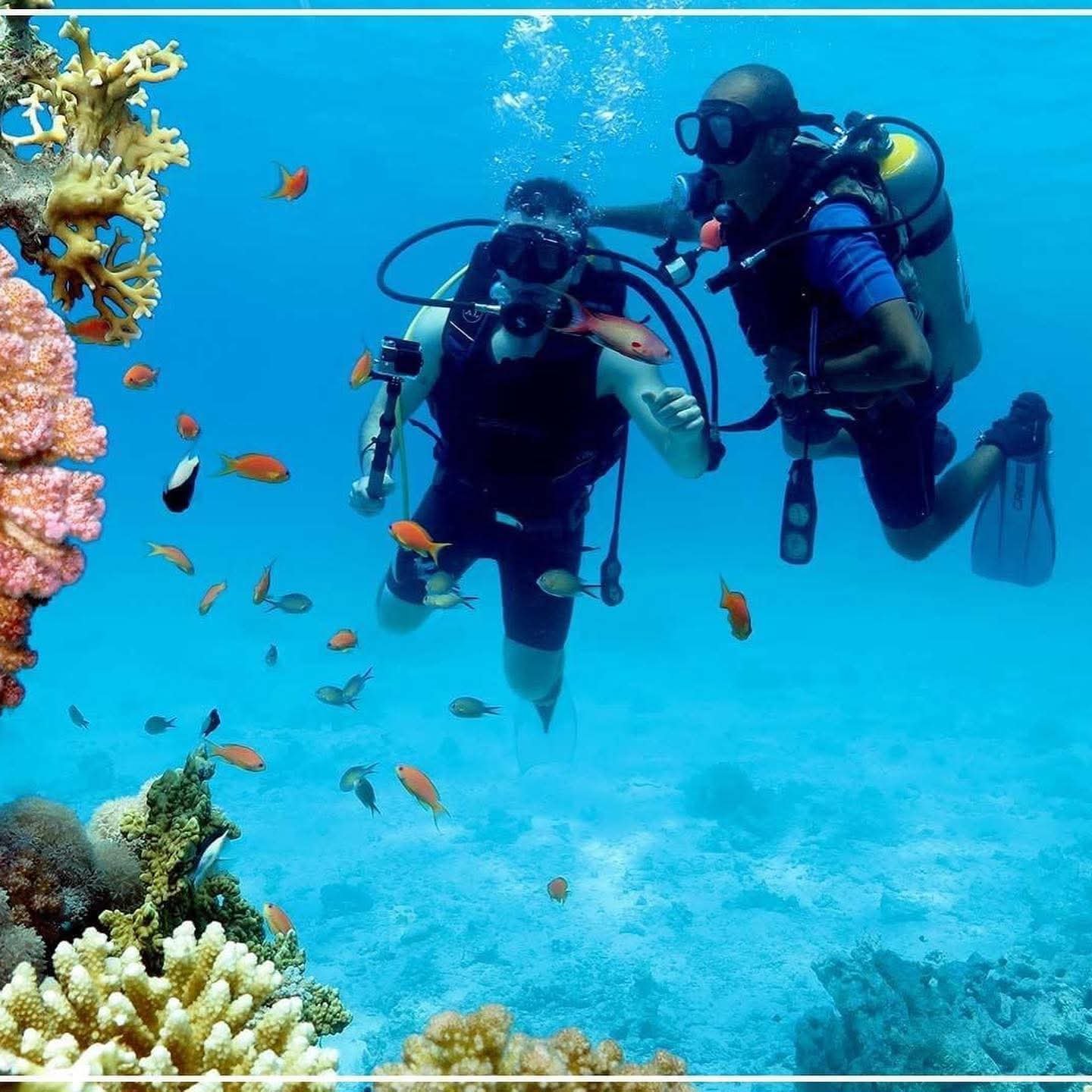 Diving experience 1