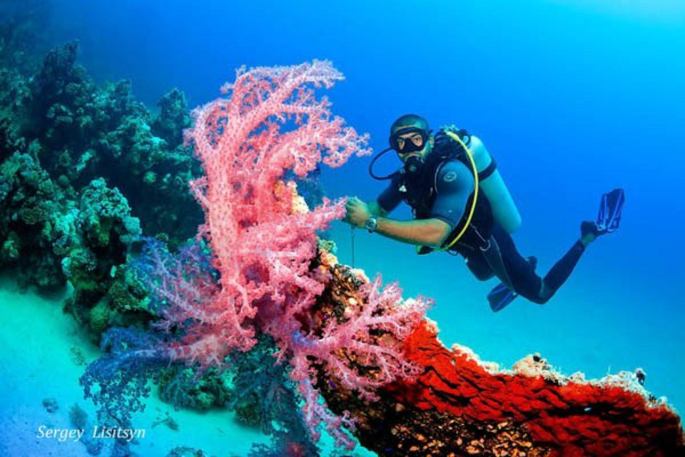 Diving trip hurghada egypt