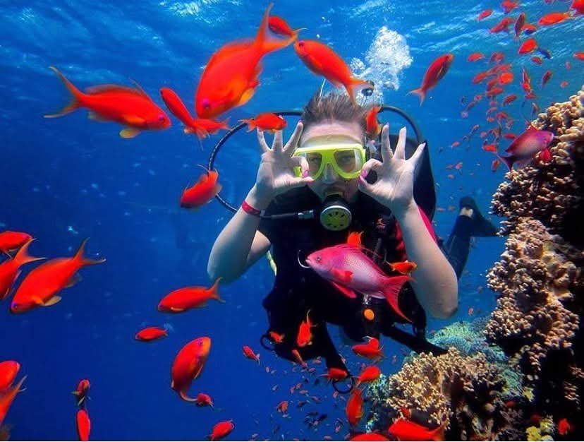 Diving trip