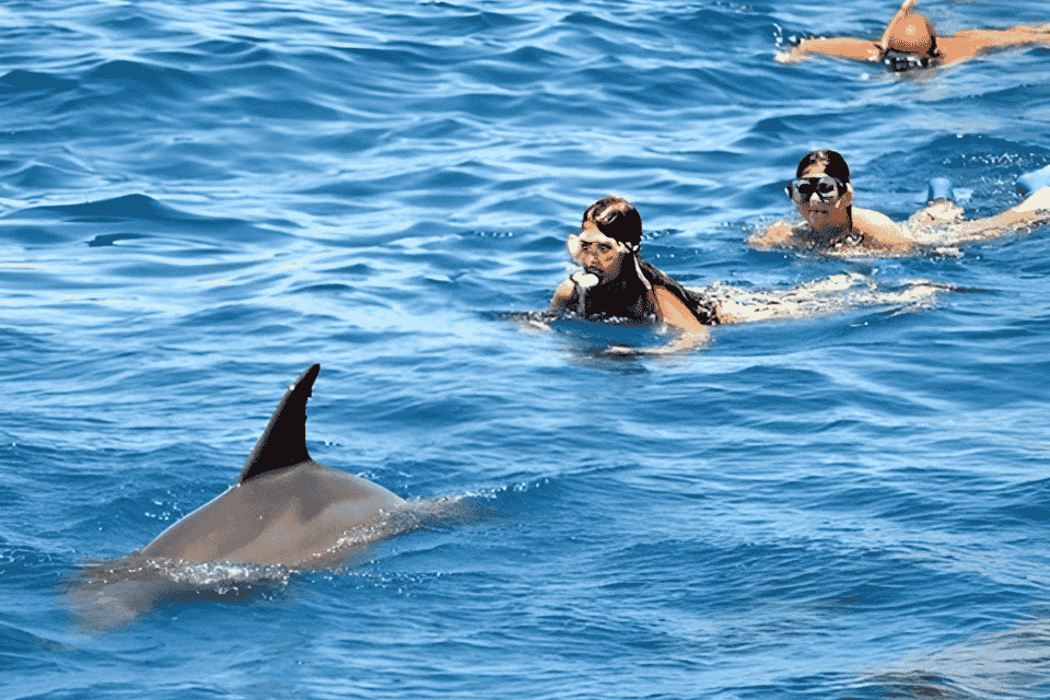 Dolphin house hurghada