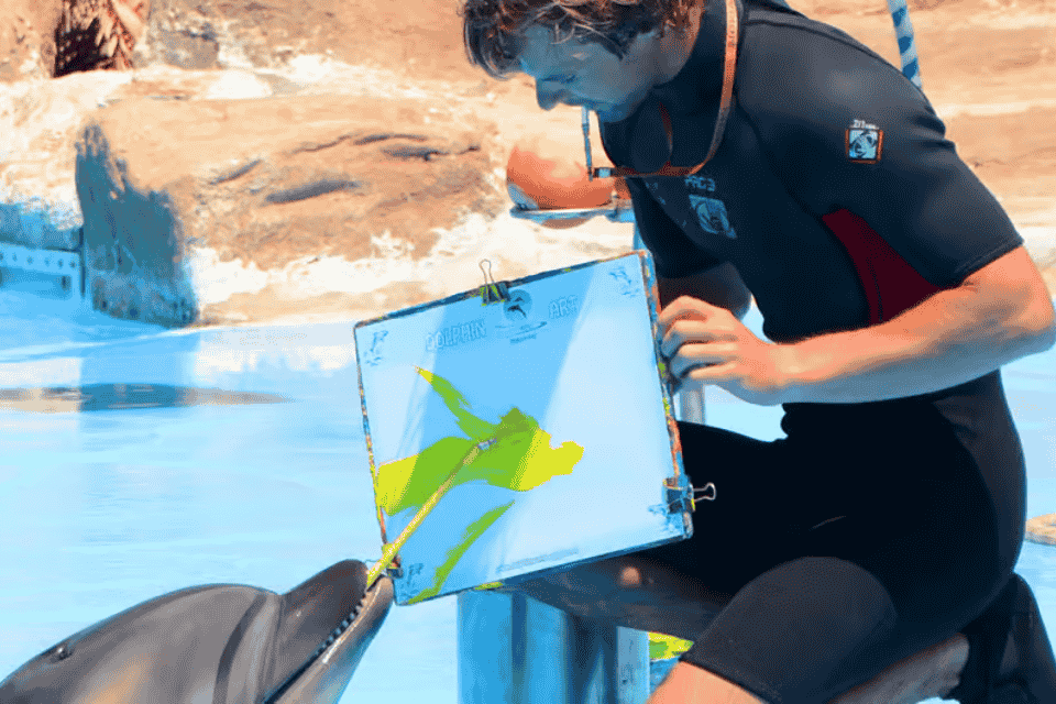 Dolphin world hurghada