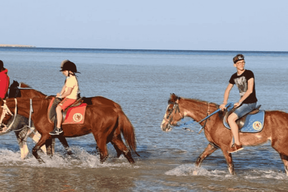 Horse riding hurghada