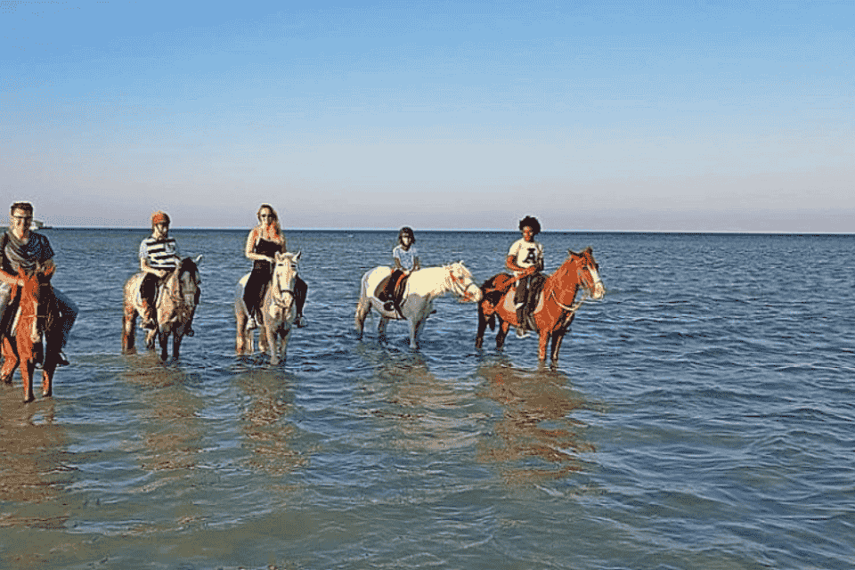 Horse ridng 2 hours