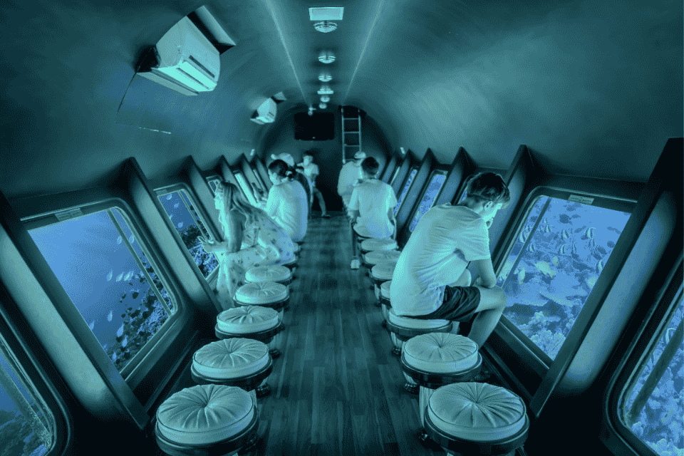 Seascope experience