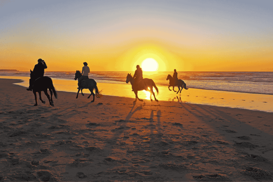 horse riding trip