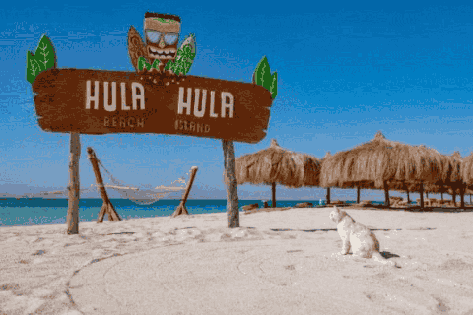 hula hula trip hurghada