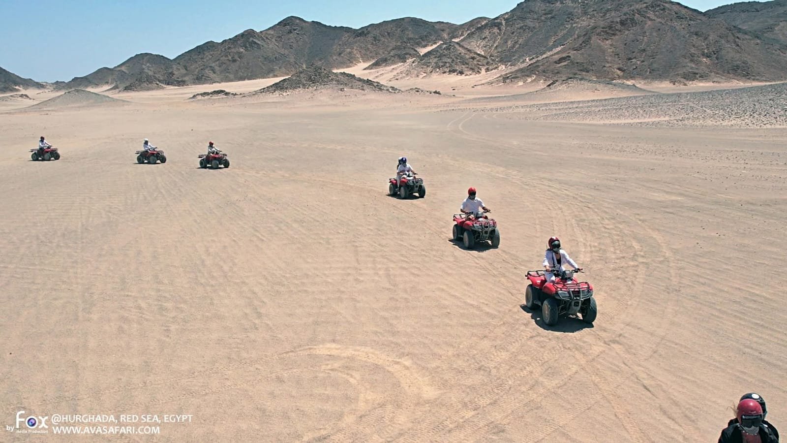 quad line safari
